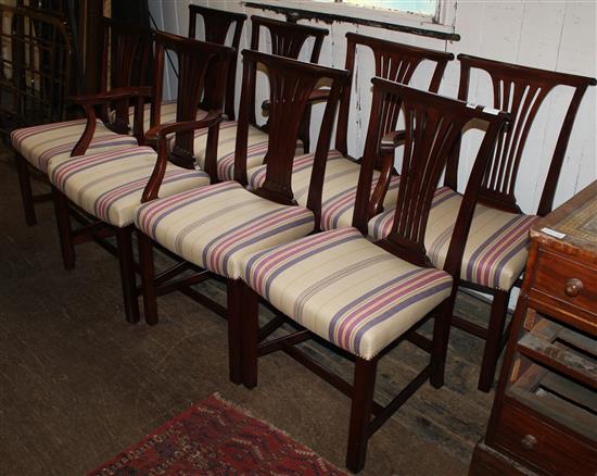8 mahogany dining chairs